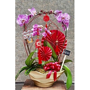 COR01藏寶圖蘭花設計 